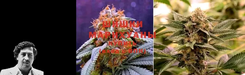 Марихуана White Widow  купить наркоту  Избербаш 